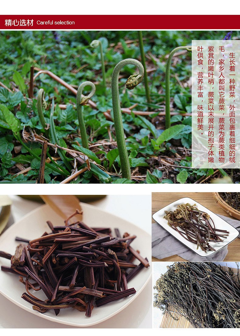 永平馆干蕨菜干货干菜农家自制新鲜山蕨菜干龙爪菜野菜云南特产高山