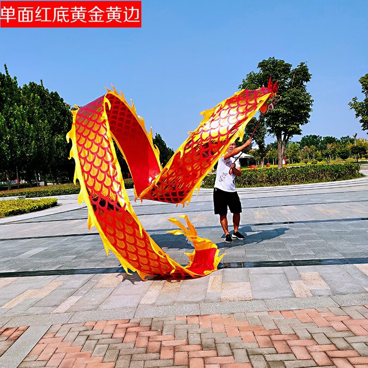 舞龙彩带健身龙带甩广场舞甩龙龙头布龙耍龙手中老年飘带空竹彩龙晋范