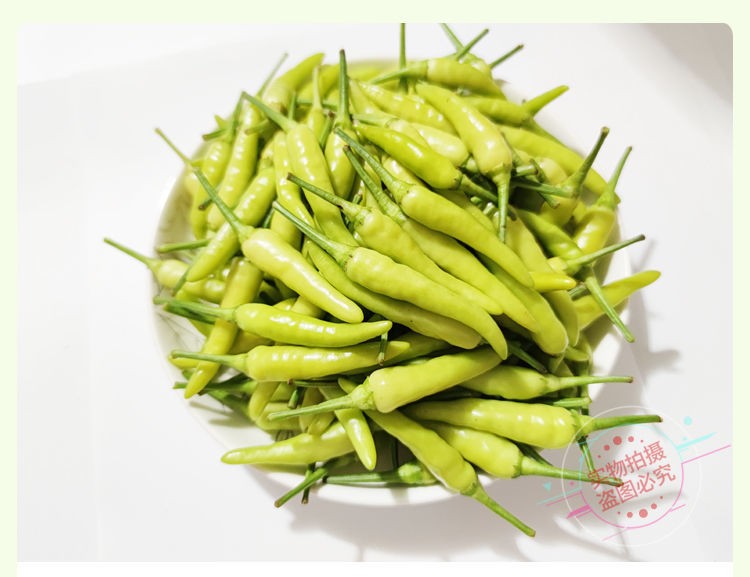 广西白米椒 野山椒泡椒 新鲜小米椒特辣朝天椒 5斤【图片 价格 品牌