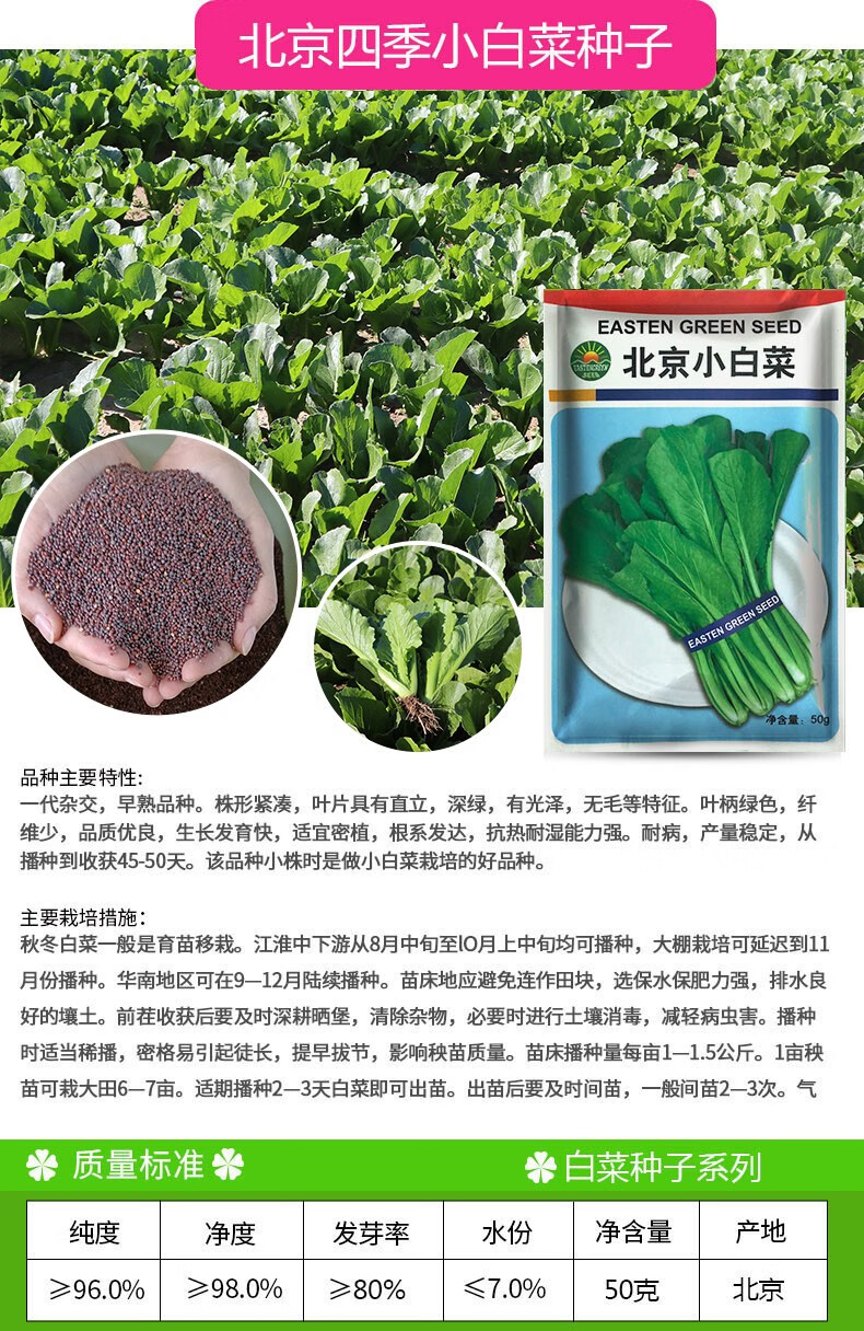 四季快菜种子盆栽 四季快菜1号杂交小白菜种子50克 京研益农