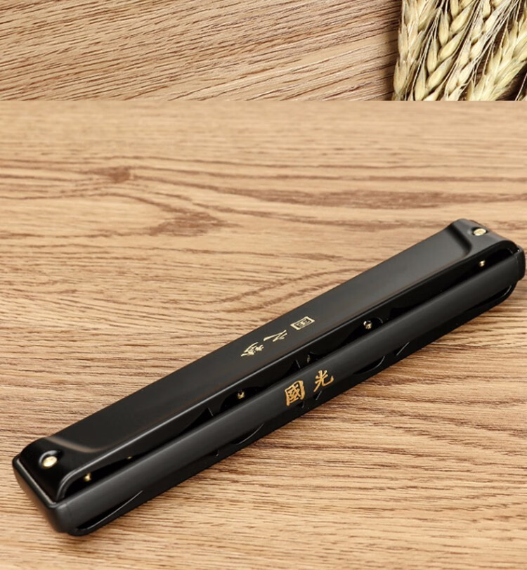 德国音簧国光28孔重音口琴高级成人专业演奏级复音学生初学者入门乐器