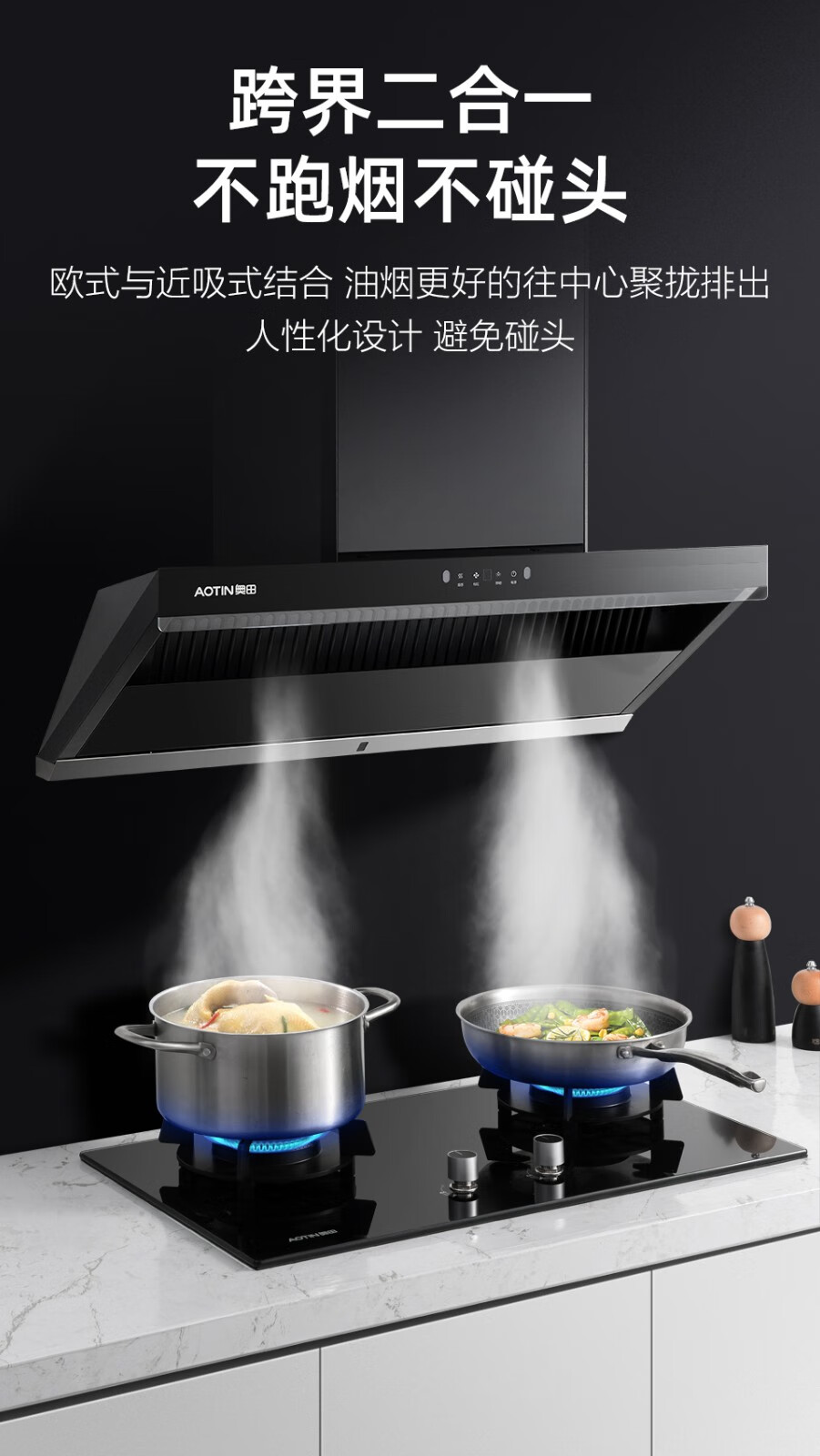 奥田家用抽油烟机 侧吸式吸油烟机 18立方大风量 aj500【图片 价格