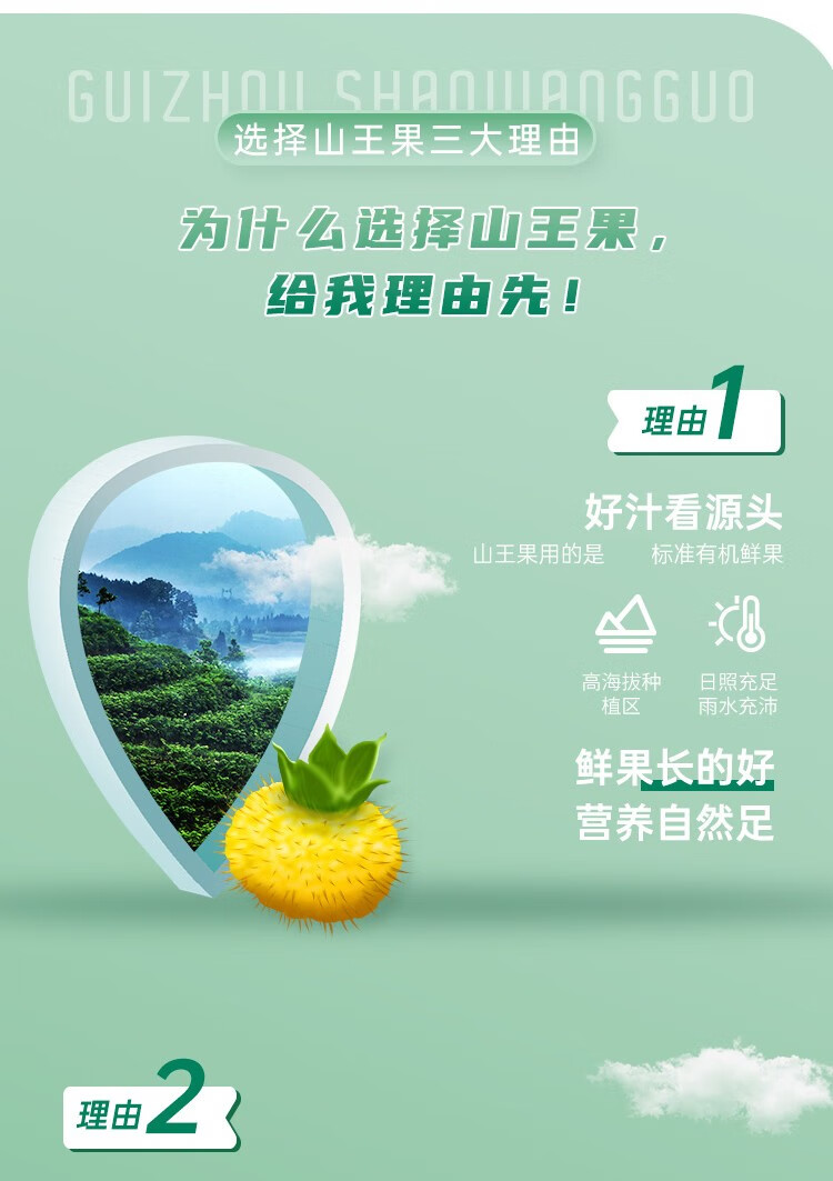 盘州馆山王果刺梨原汁贵州特产刺梨汁原浆饮品纯汁山果王双有机刺梨