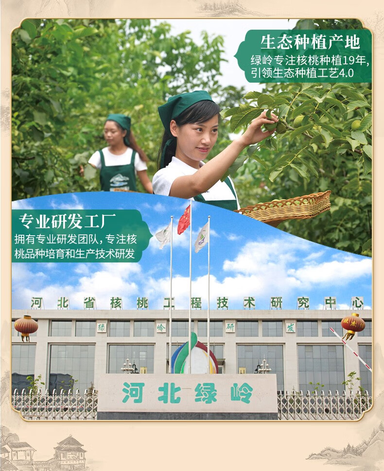 125955-绿岭火猴 薄皮原味生核桃 500g坚果礼盒休闲零食 500g原果*2箱-详情图
