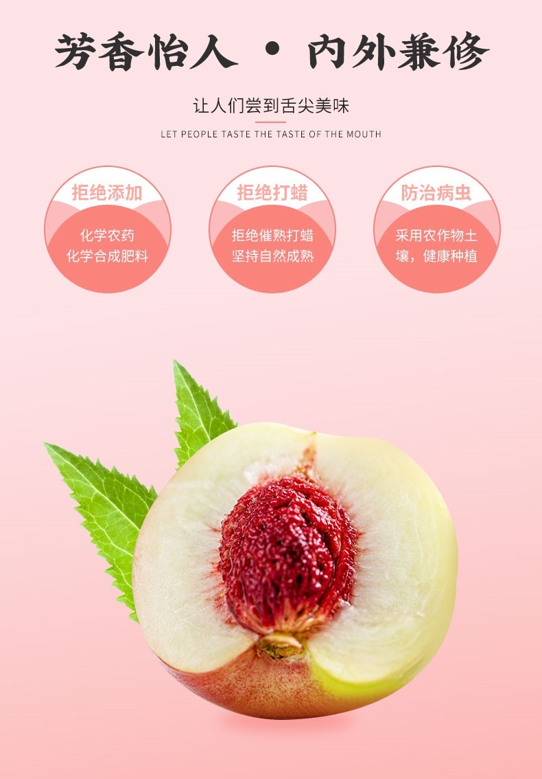 左岸壹号 新鲜珍珠枣桃 纯甜离核 枣味小油桃 3斤装枣桃【图片 价格