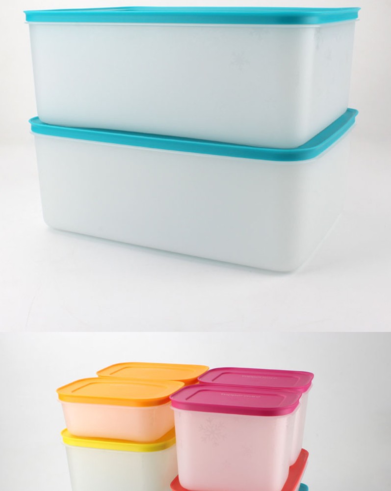 特百惠新款雪影保鲜盒家用冰箱冷冻冷藏生鲜鱼肉速冻密封收纳盒 雪影