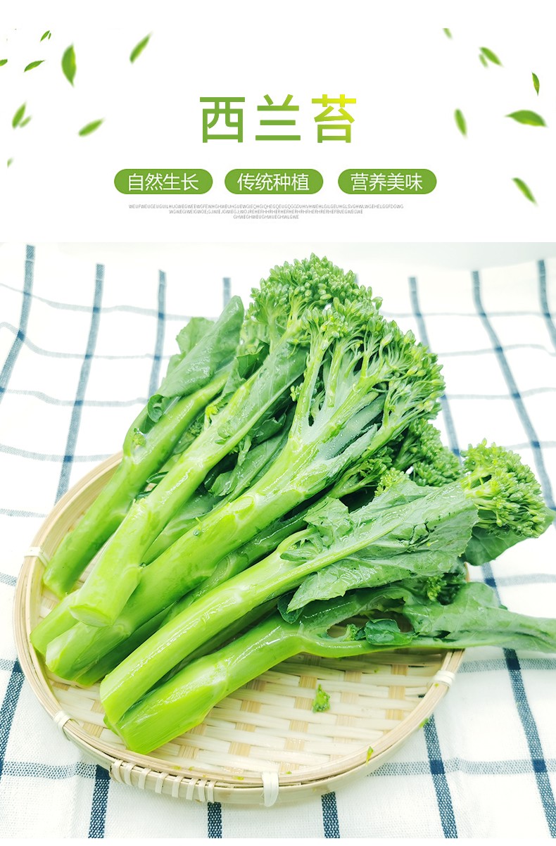 顺丰新鲜西兰苔时令蔬菜青花苔迷你小西兰花苔甜杆西兰现摘现发冷链