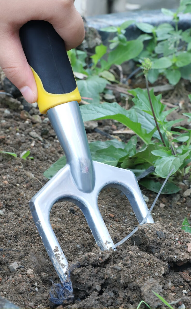 金赛骑铁铲子园艺工具套装种植养花盆栽松土耙子三件套家庭户外赶海