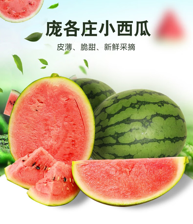 【顺丰礼盒装/北京当日达】大兴庞各庄西瓜 2-4粒 小西瓜 新鲜吊秧头
