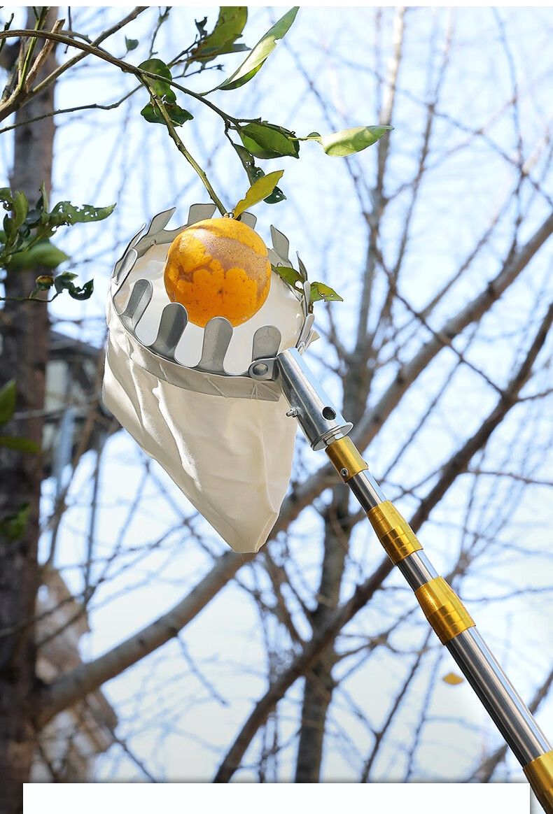 摘果器摘水果神器多功能不锈钢伸缩摘果器摘柿子琵琶苹果橘子采摘器采