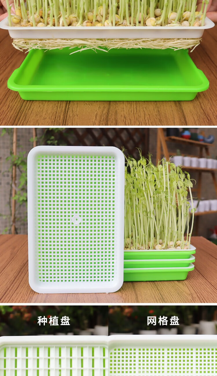 豆芽发芽盆育苗盘芽苗菜水培盒发花生豆芽专用盆无土栽培蔬菜种植豆芽