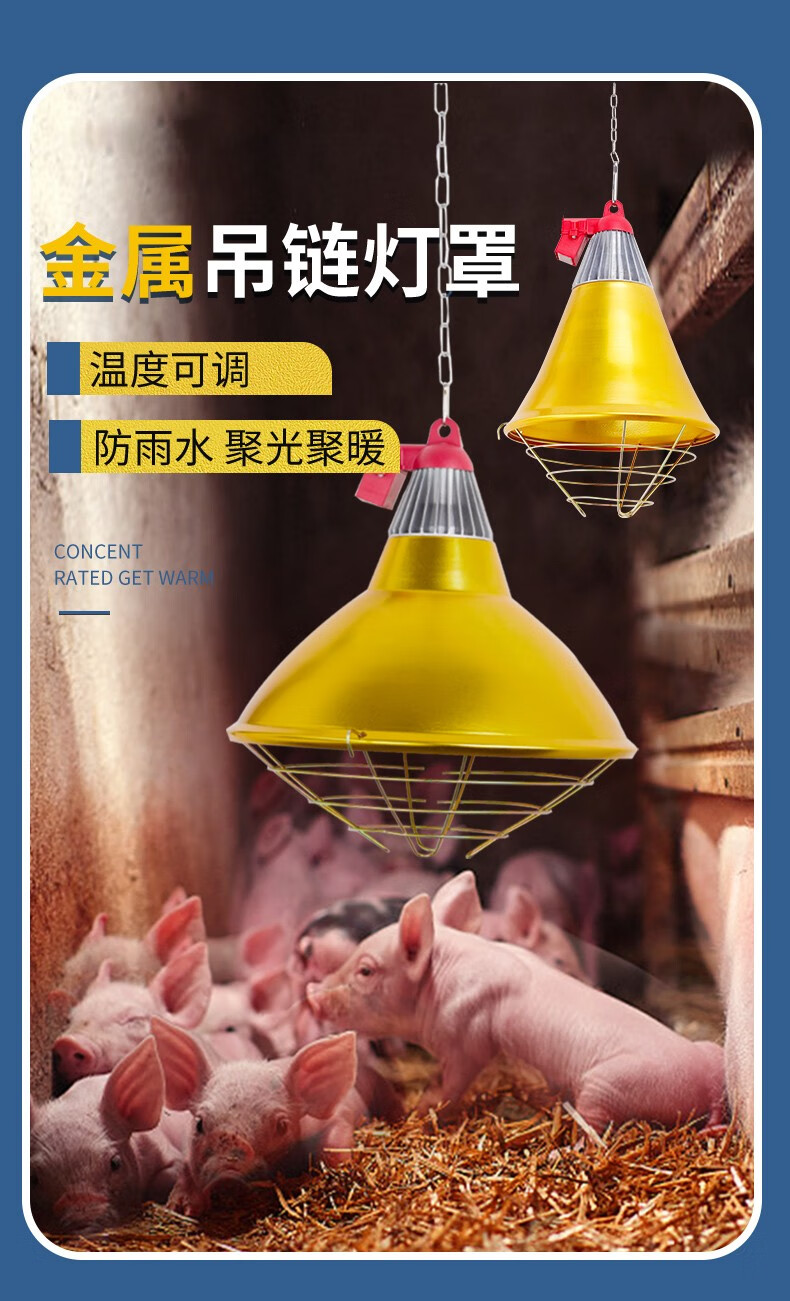 猪博士养殖保温灯罩小猪仔猪取暖灯泡带灯头猪舍取暖设备猪博士保育