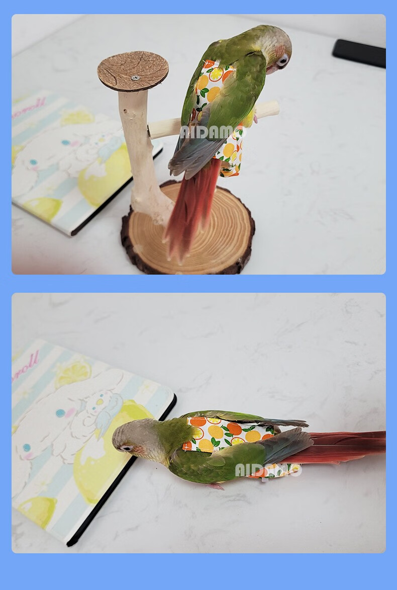 鹦鹉尿不湿 鸟用尿垫尿片玄凤牡丹小太阳凯克吸蜜衣服屎兜尿裤飞行服