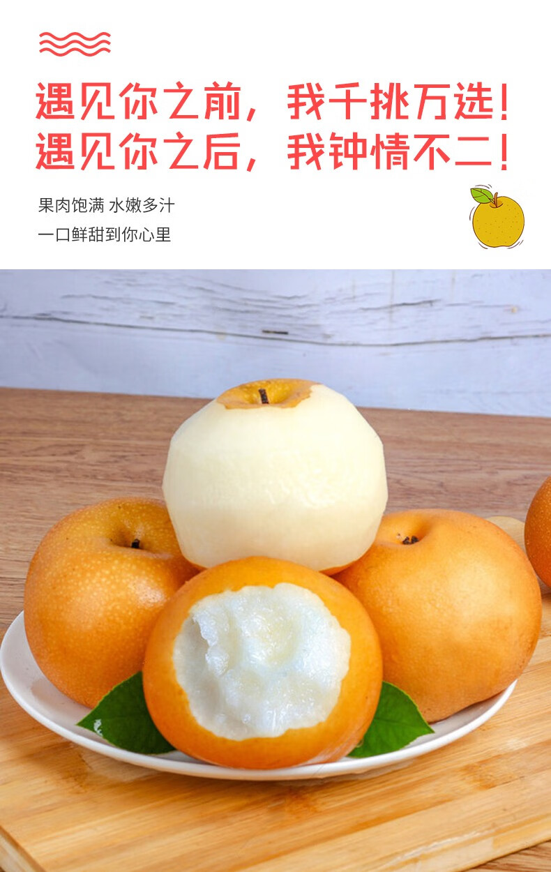 现摘大果秋月梨安徽砀山梨超甜黄梨新鲜当季水果精选9斤装