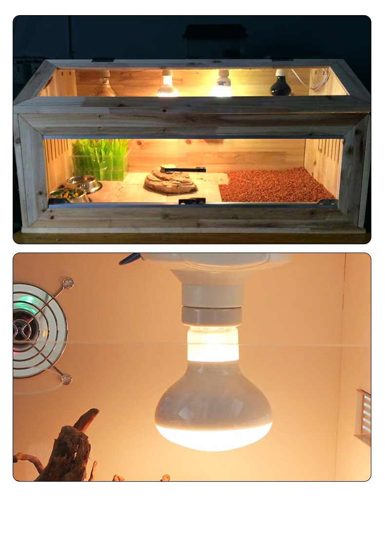 爬将军乌龟灯晒背灯爬虫uva灯泡日夜两款多瓦数可选蜥蜴乌龟爬宠加热