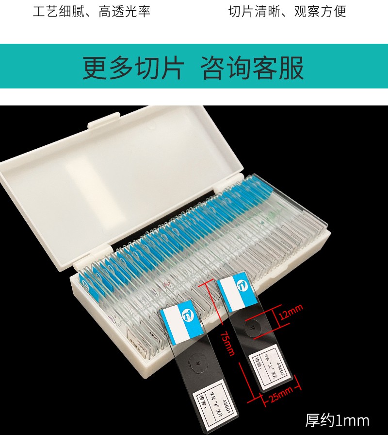 豫安宁生物切片永久装片人血涂片人体四大组织字母e上字初高中神经装