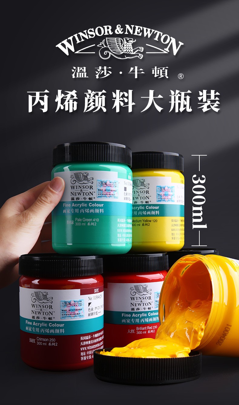 温莎牛顿丙烯颜料画家防水纺织墙绘套装300ml车位涂鸦钛白色手绘金色