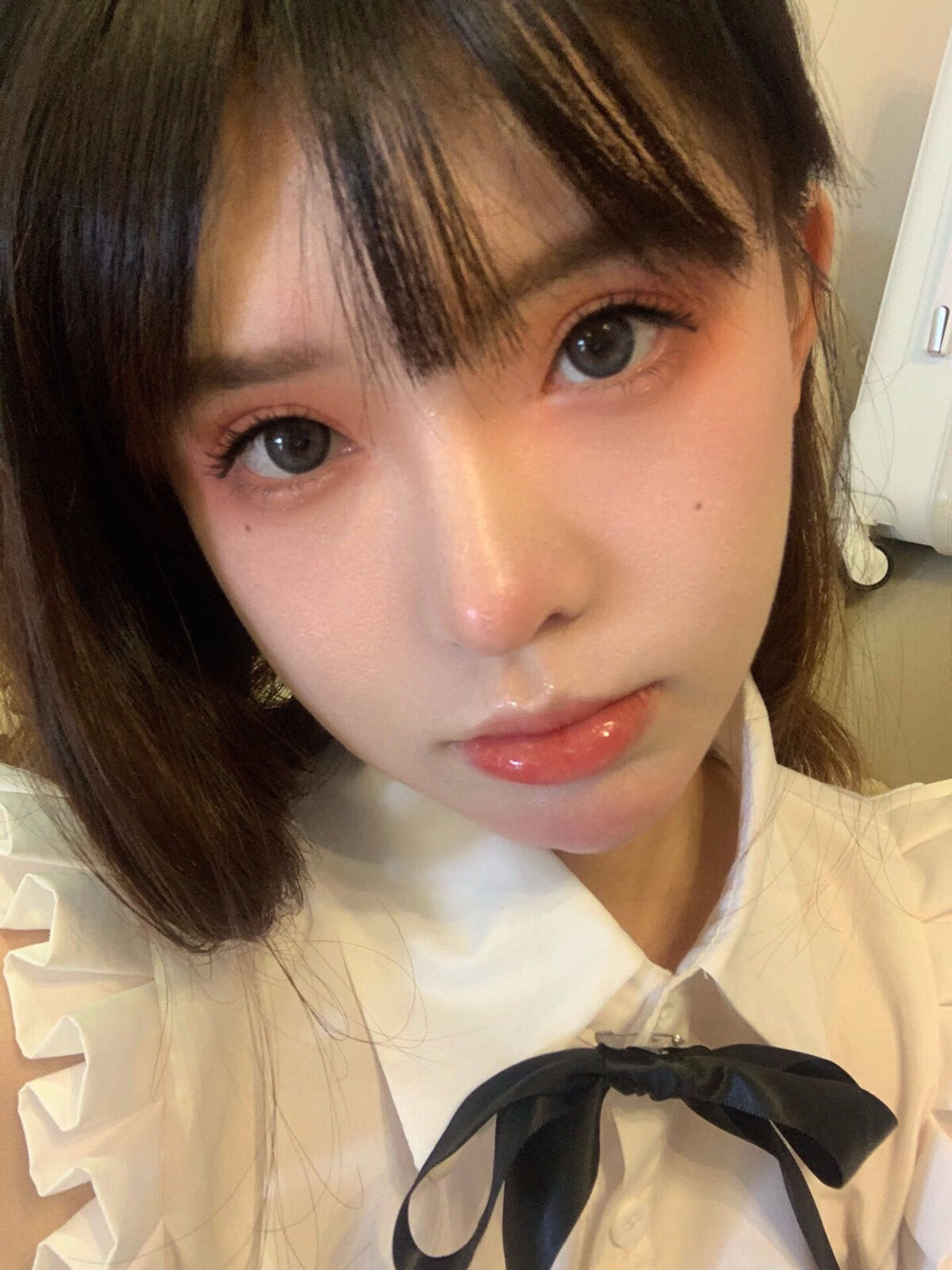 sugarplum糖豆美瞳绵羊宝宝小熊宝宝年抛女混血蓝色灰14.