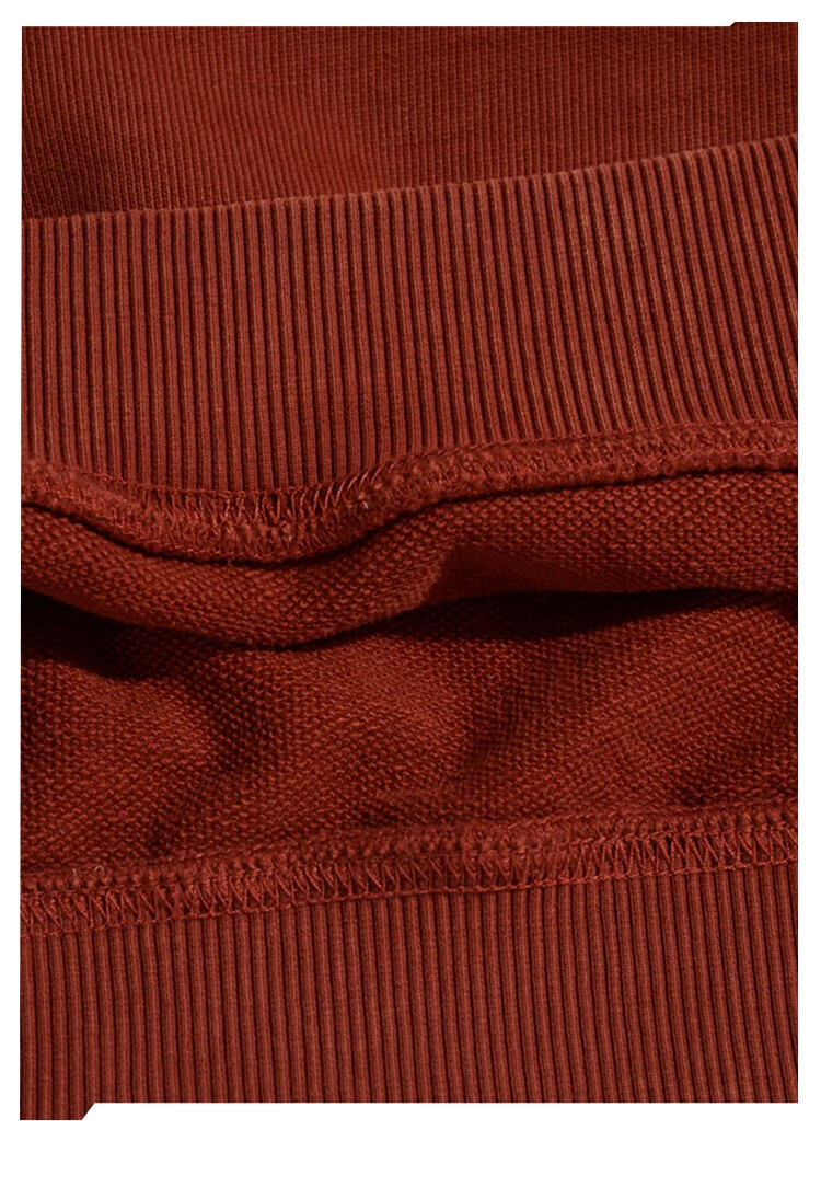 款套头连帽运动卫衣潮男女经典挺括刺绣时尚2020麒麟云中现赭红色3xl