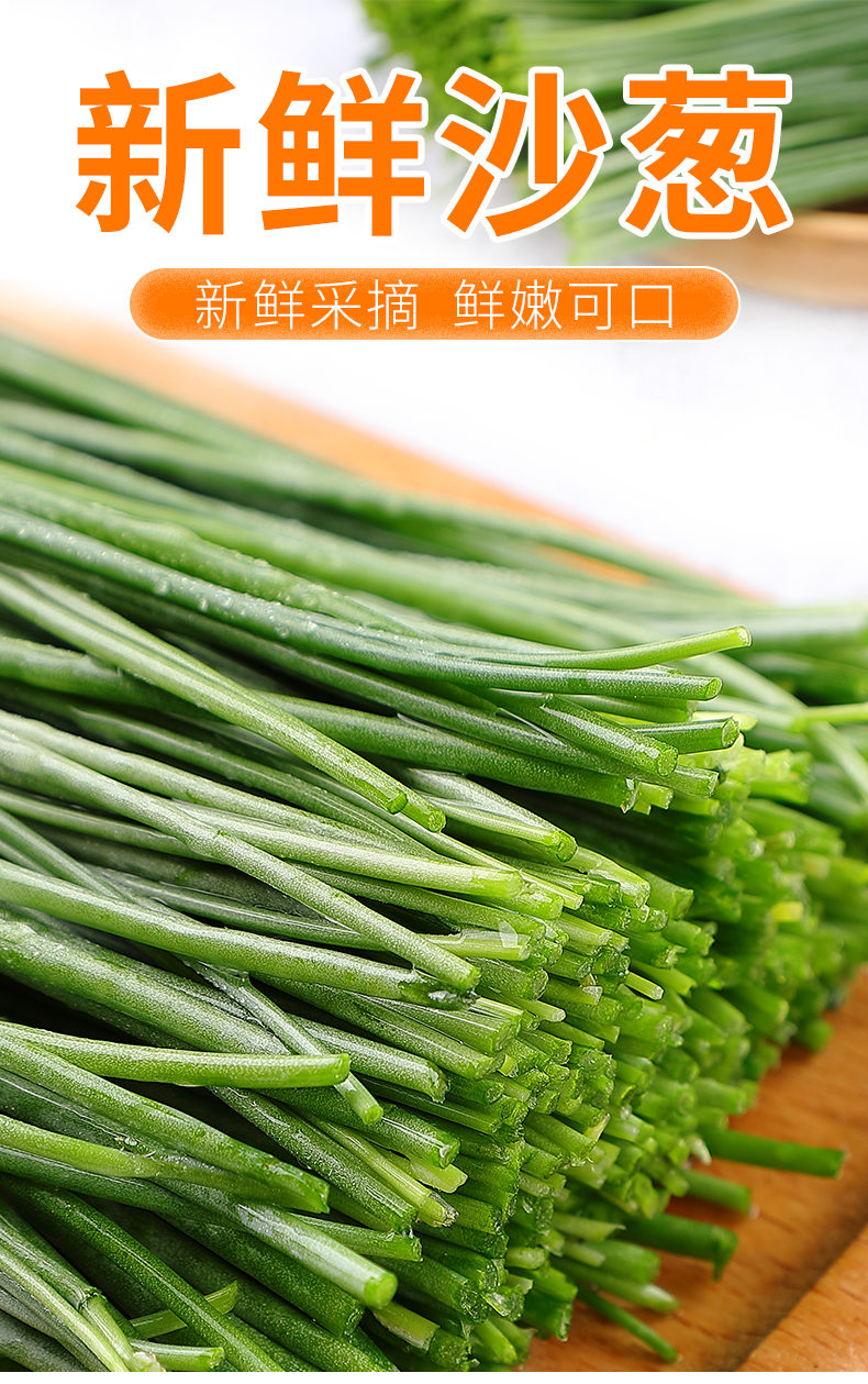 寻味君甘肃民勤沙葱现摘特产新鲜蔬菜沙葱3斤