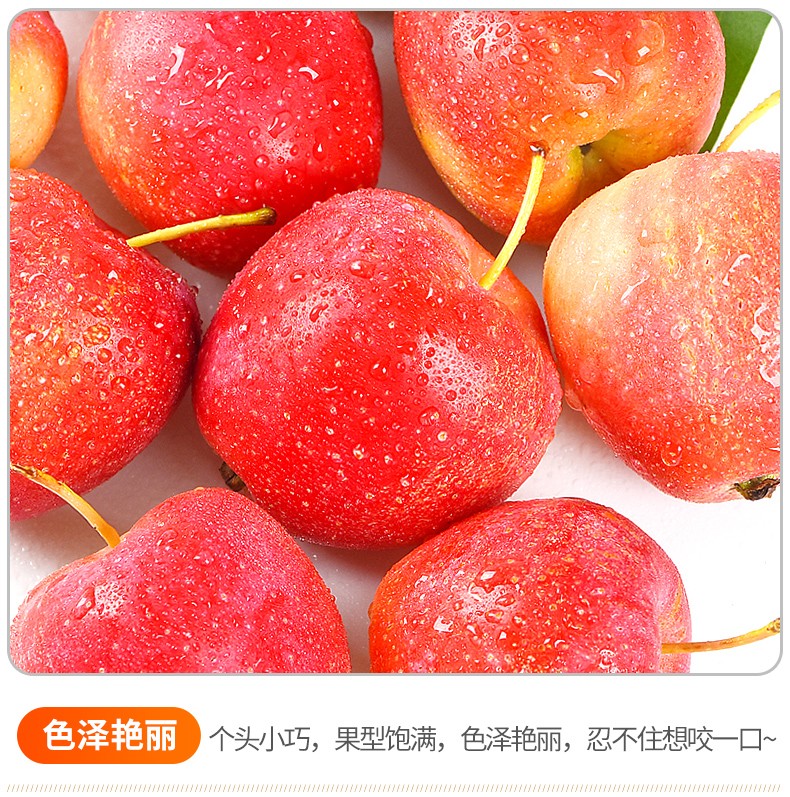 东北k9小沙果新鲜当季现摘小苹果东北特产5斤