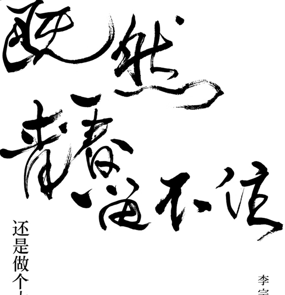 李宗盛专辑既然青春留不住还是做个大叔好演唱会巡回影音纪录2dvd视频