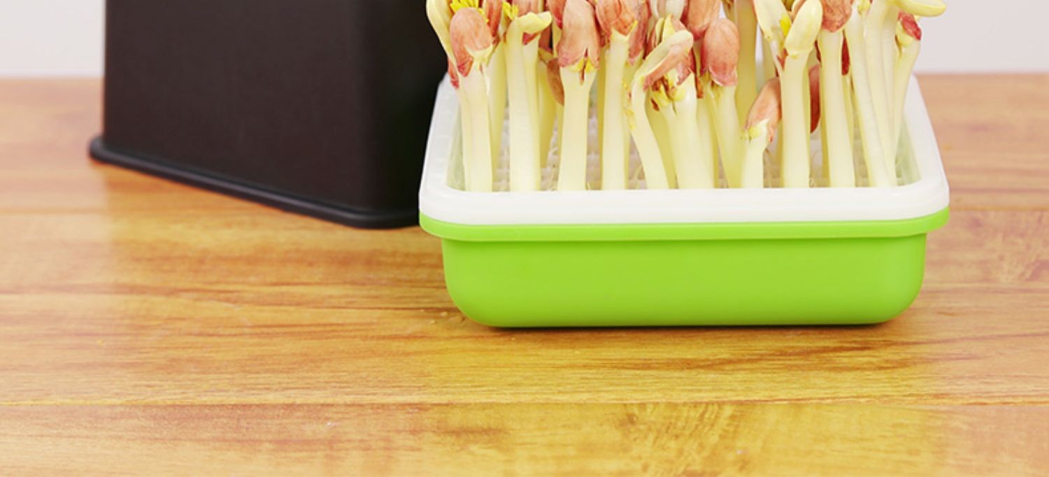 纳丽雅(naliya)花生芽发芽神器水培箱盆盒子花生苗种植盘育苗花生芽