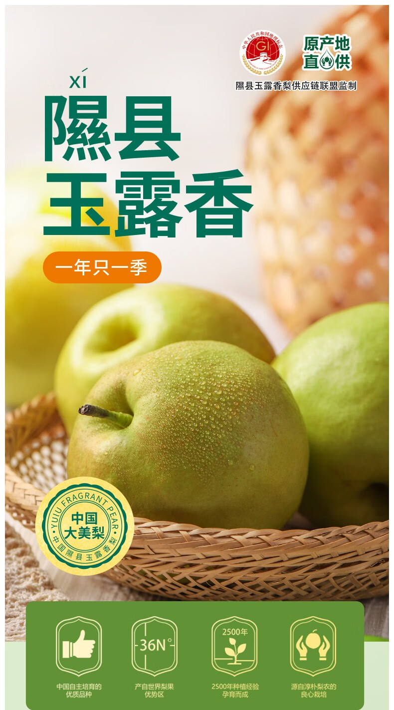 山西隰县玉露香梨新鲜水果梨子水果礼盒生鲜特产送礼优选9粒装约65斤