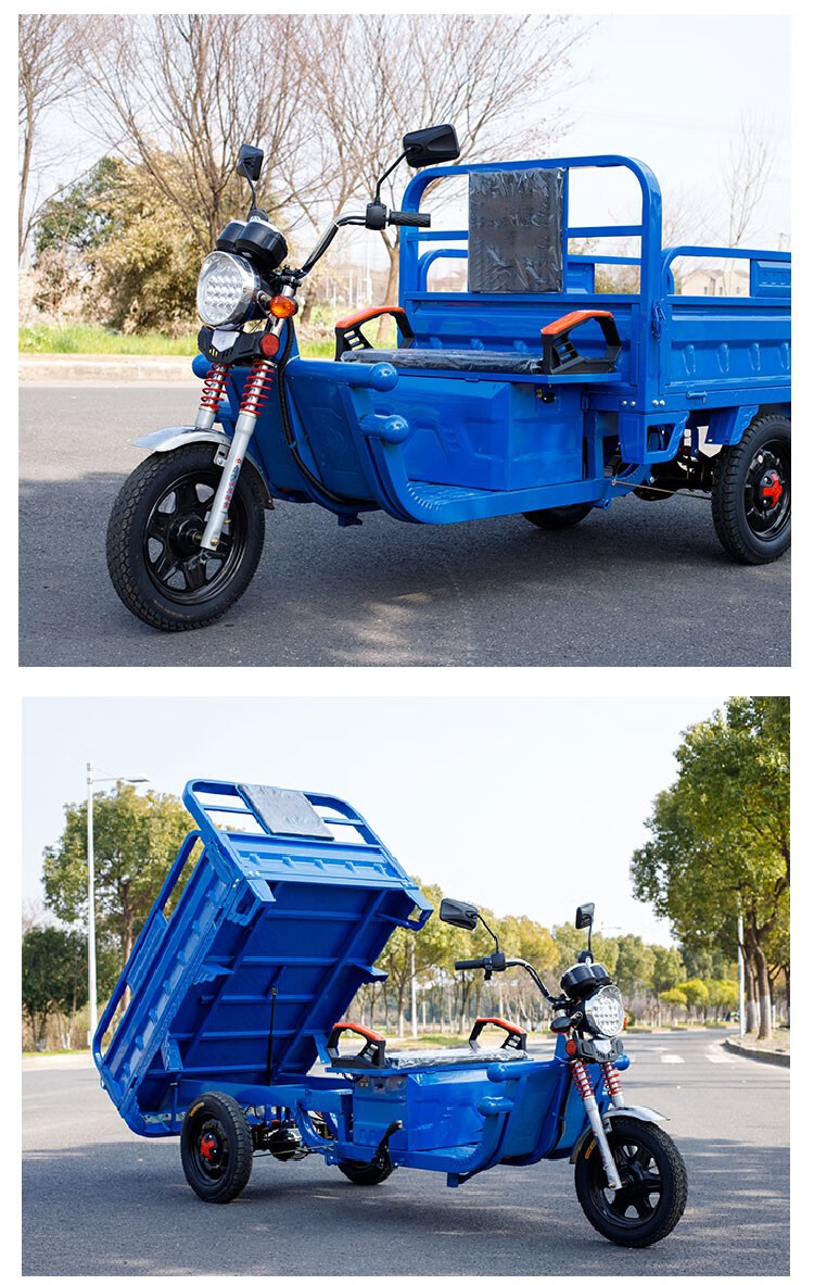 电动三轮车拉货家用载货爬坡王载重王送货摆摊电瓶代步车快递摆摊农用