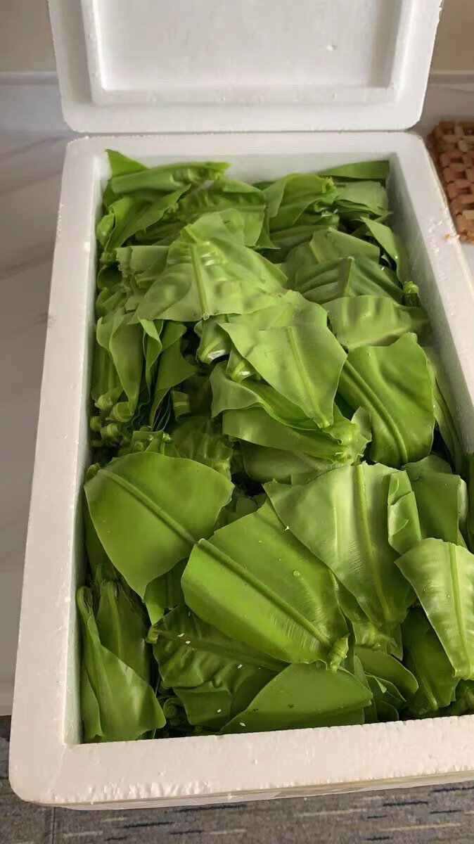 新鲜台湾山苏菜鸟巢蕨菜西餐菜酒店特色菜台湾山苏叶炒食做汤1000g