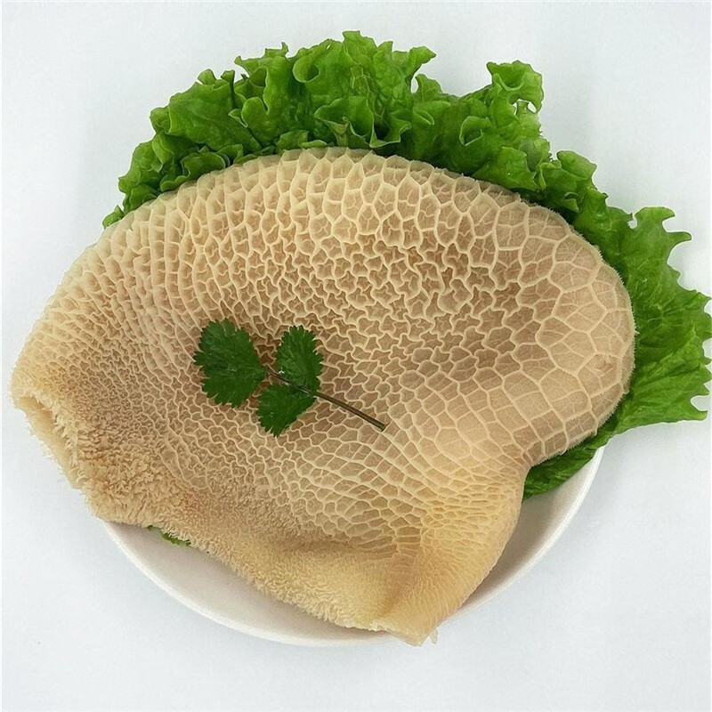 源外园 金钱肚 毛肚 蜂窝肚 新鲜牛肚子 现煮黄牛牛肚顺丰发货 3斤