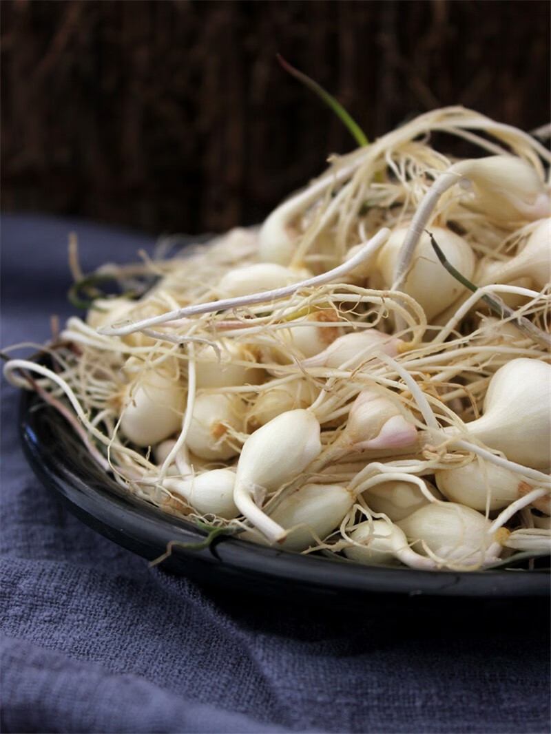 恬女神东北山野菜小根蒜野葱大脑瓜新鲜野山蒜大脑蹦500g