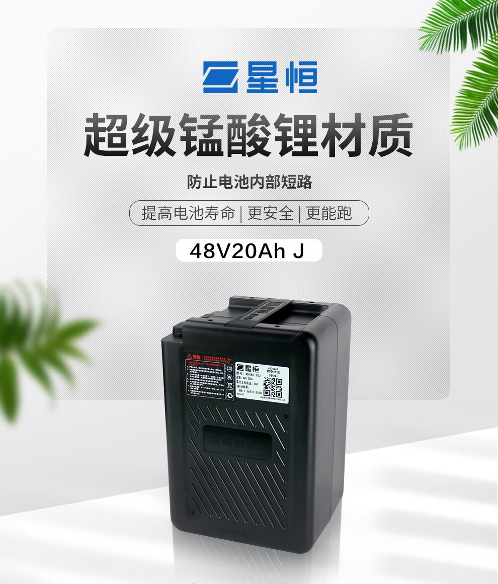 g款新国标电动车长续航锂电池48v 48v20ah爱玛口不含充电器【图片