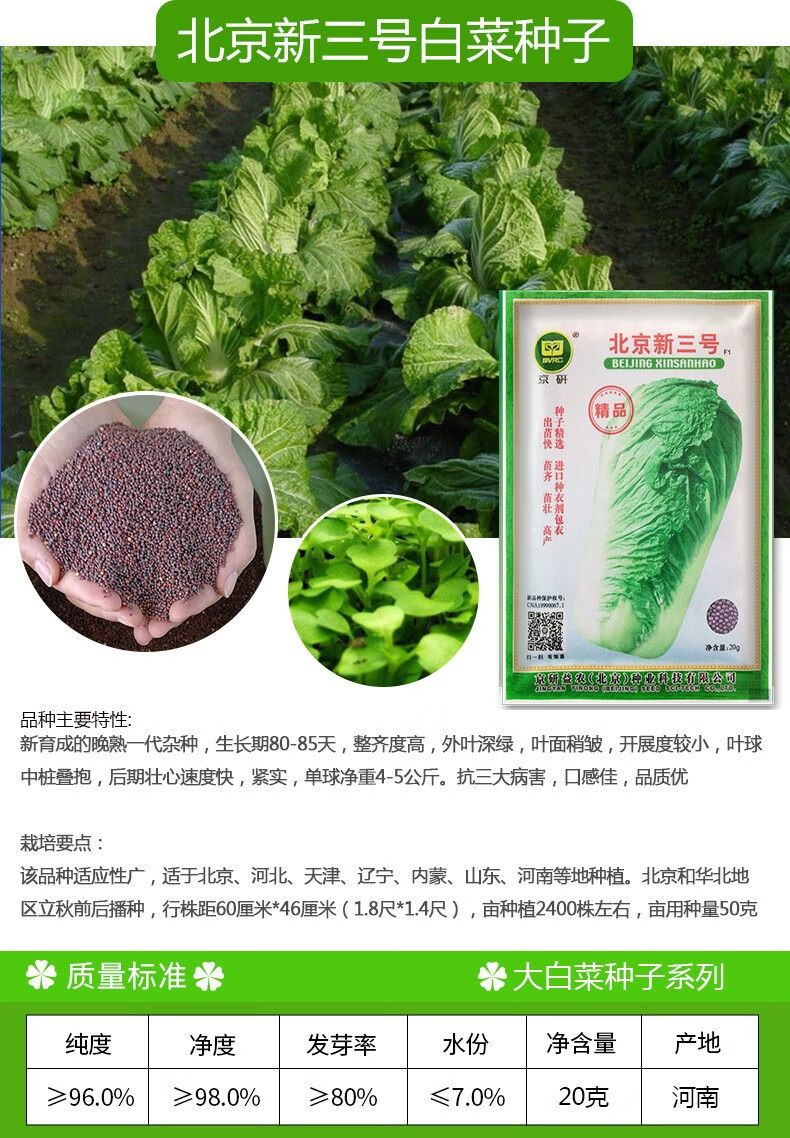 凤鸣雅世京研北京新三号大白菜种子高产晚熟抗病白菜蔬菜籽农家大田