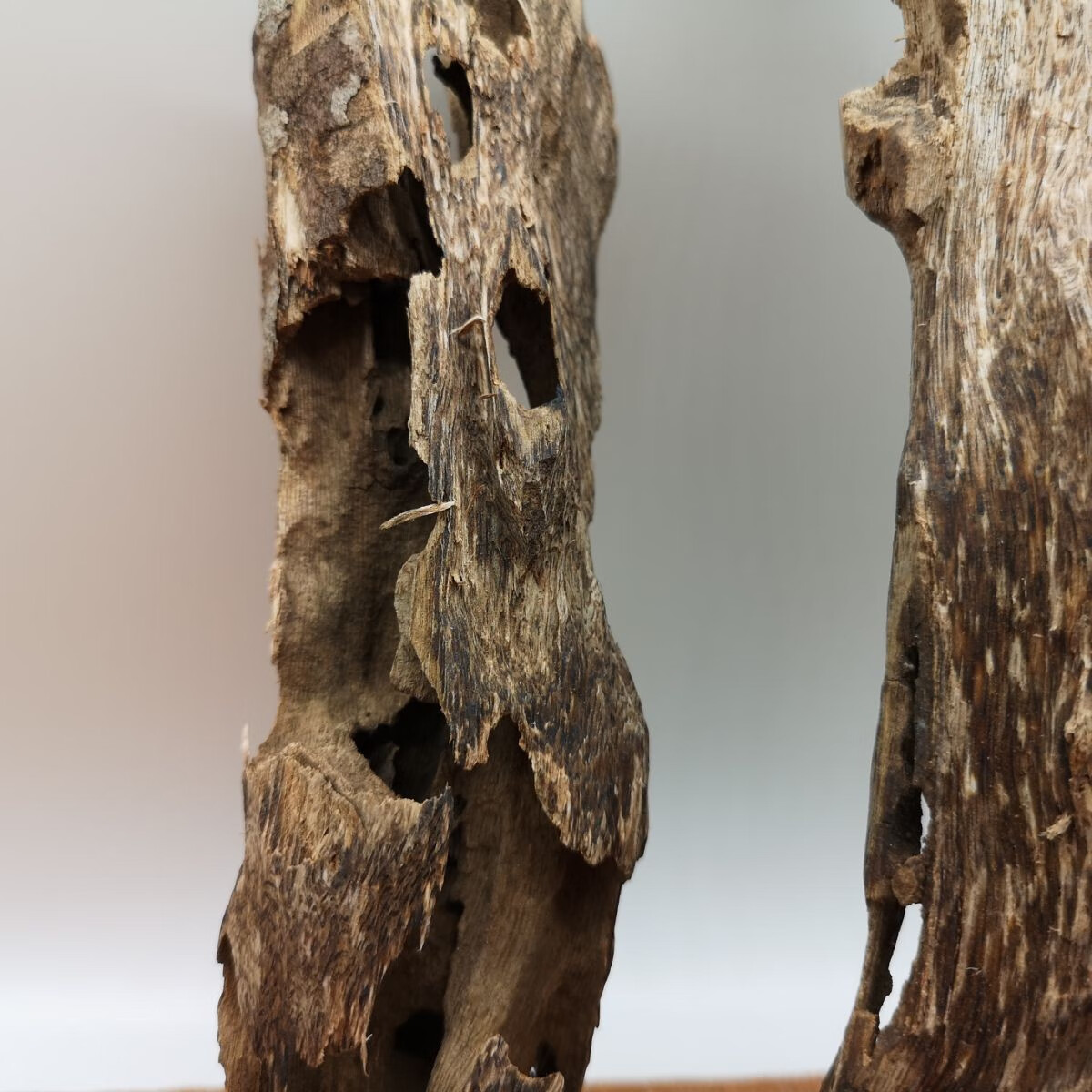 海南虫漏沉香原材摆件 半黑油天然沉香虫眼 沉香蚁漏沉香木料香熏 268