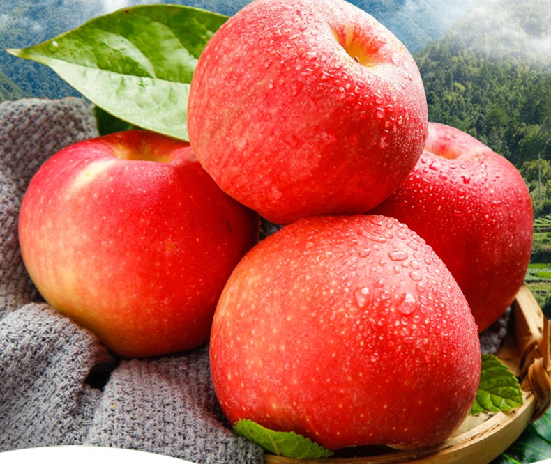 正宗新疆阿克苏大苹果冰糖心新鲜水果9斤礼盒整箱丑苹果当季红富士10