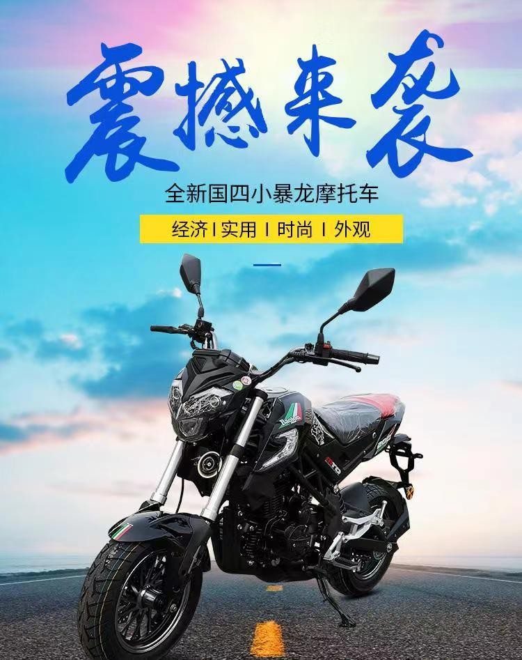 国四新款电喷宝雕小暴龙200cc小怪兽小猴子m3大公仔迷你特技街车代步
