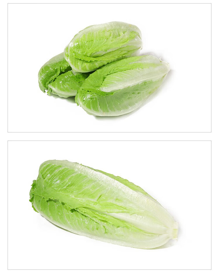 顺丰包心罗马生菜包心罗纹沙拉菜西餐配菜新鲜蔬菜250g