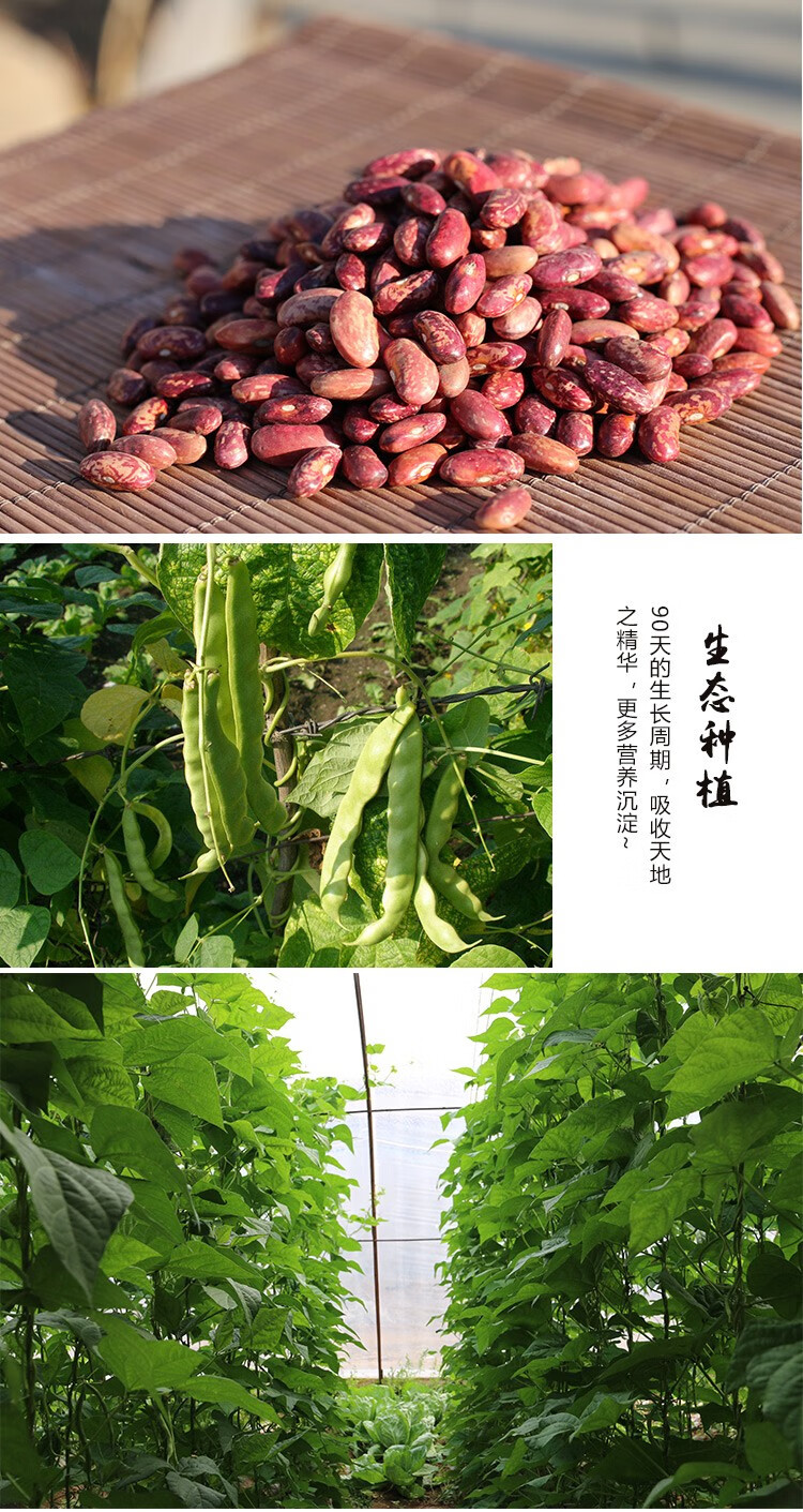 密农人家山区农家种植五谷花芸豆花腰豆饭豆粗粮350g芸豆五谷杂粮