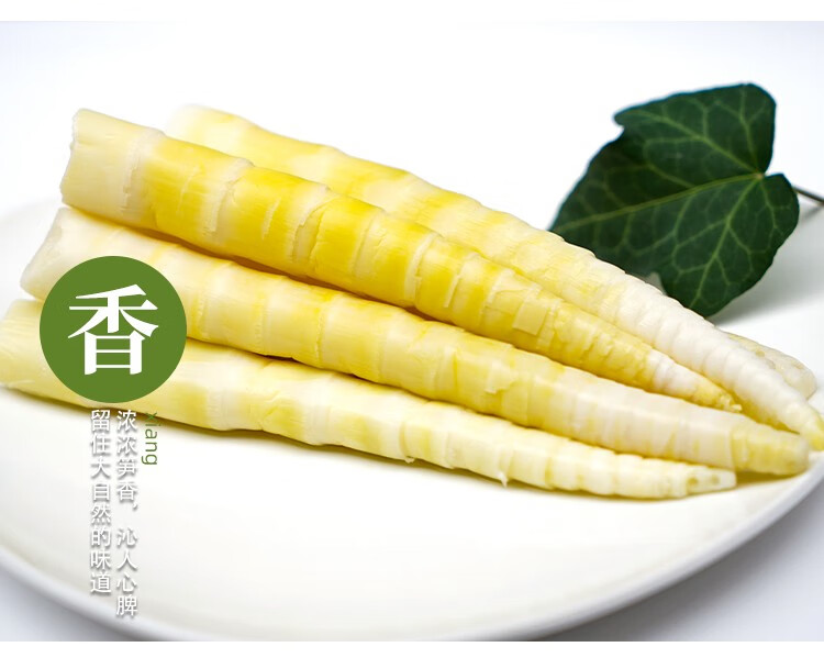 桐梓馆贵州特产桐梓方竹笋清水笋500g袋秋笋野生小炒火锅猫山清水笋