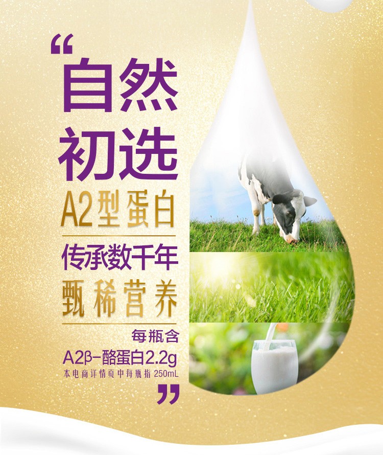 顺丰每日鲜语优护a2β酪蛋白巴士杀菌鲜牛奶250ml瓶装早餐牛奶250ml8