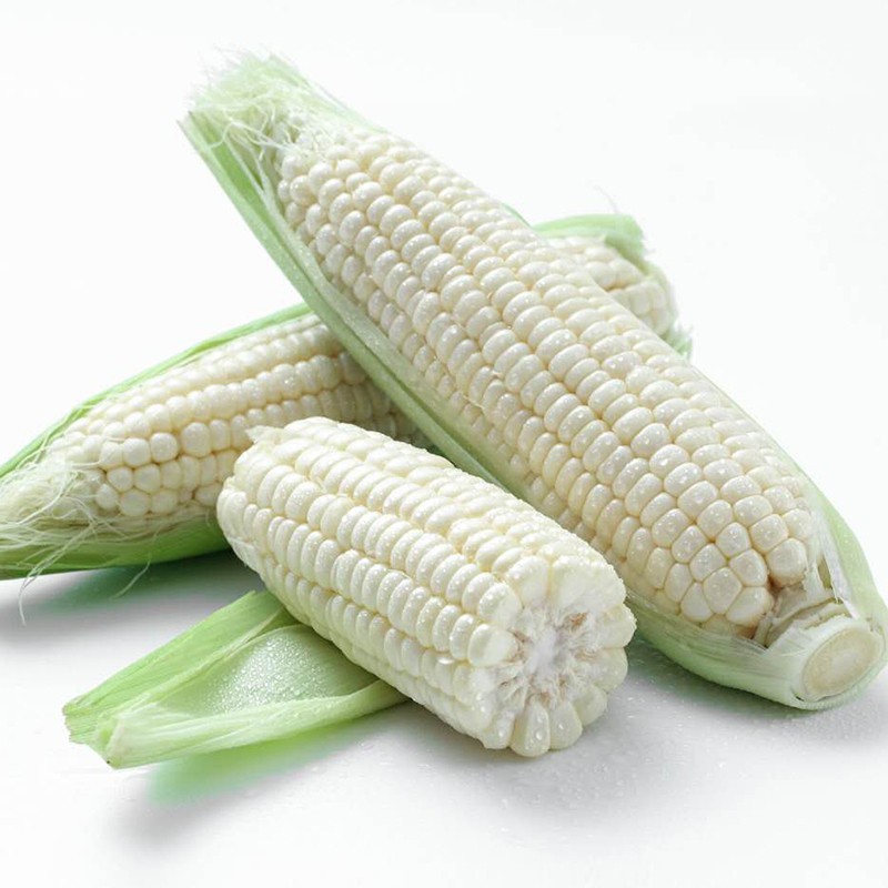 恬女神白糯甜玉米农家玉米新鲜速冻白玉米10根约6斤甜玉米棒