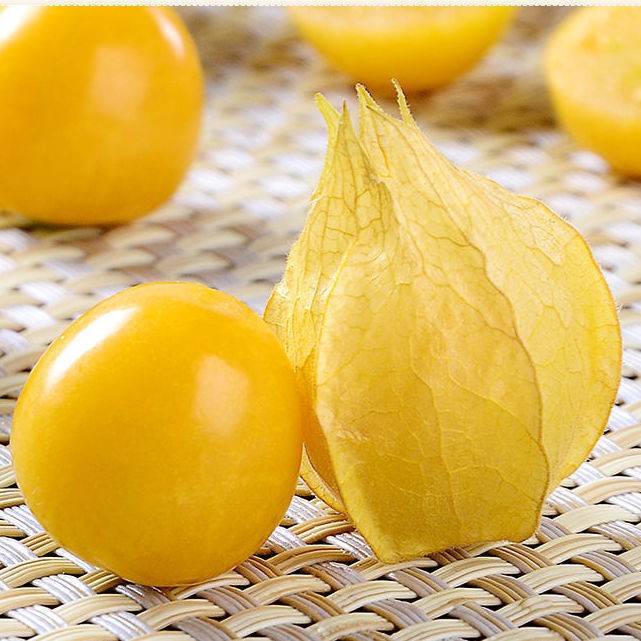 东北姑娘果9斤12斤黄菇娘果黄灯笼果应季新鲜水果生鲜12斤精选果