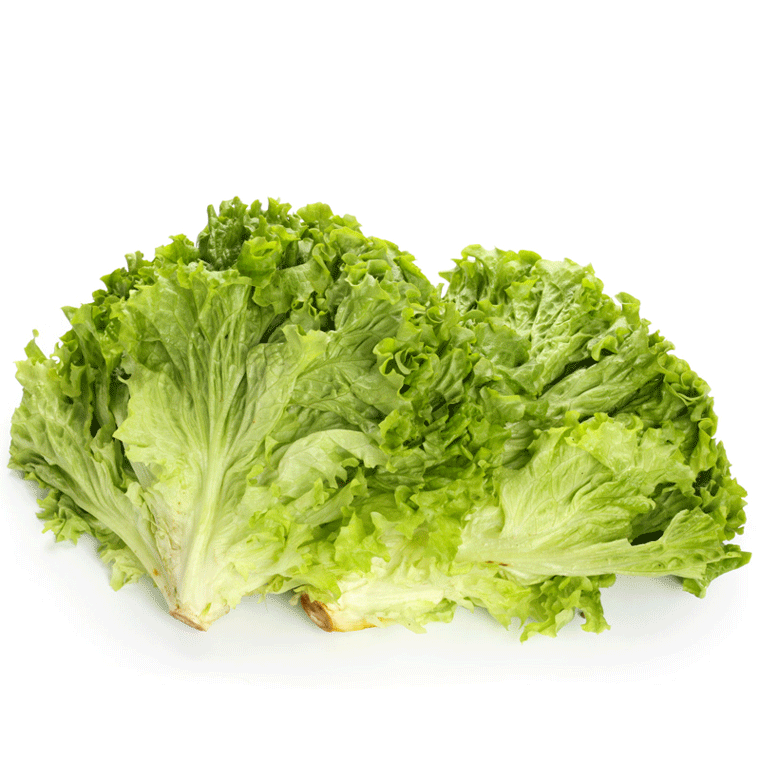 【顺丰】新鲜罗莎绿生菜 绿叶生菜绿毛花边生菜 绿萝莎 沙拉菜 250g