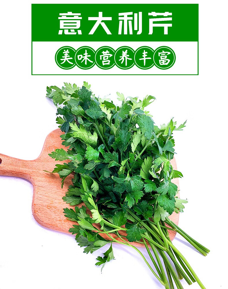 新鲜意大利芹 欧芹香芹法国香菜巴西里香西餐食材 250g【图片 价格