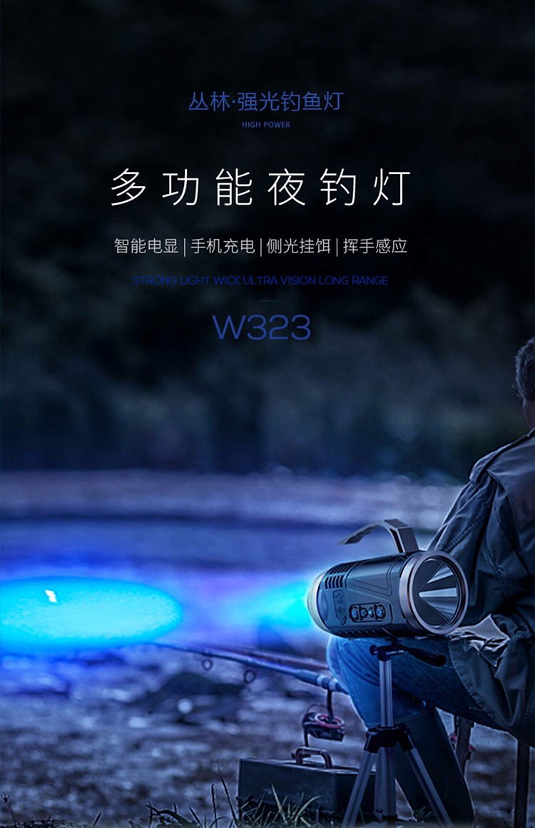 宸芃夜钓灯强光超亮钓鱼灯装备夜光蓝白光野钓大功率台钓氙气激光大炮