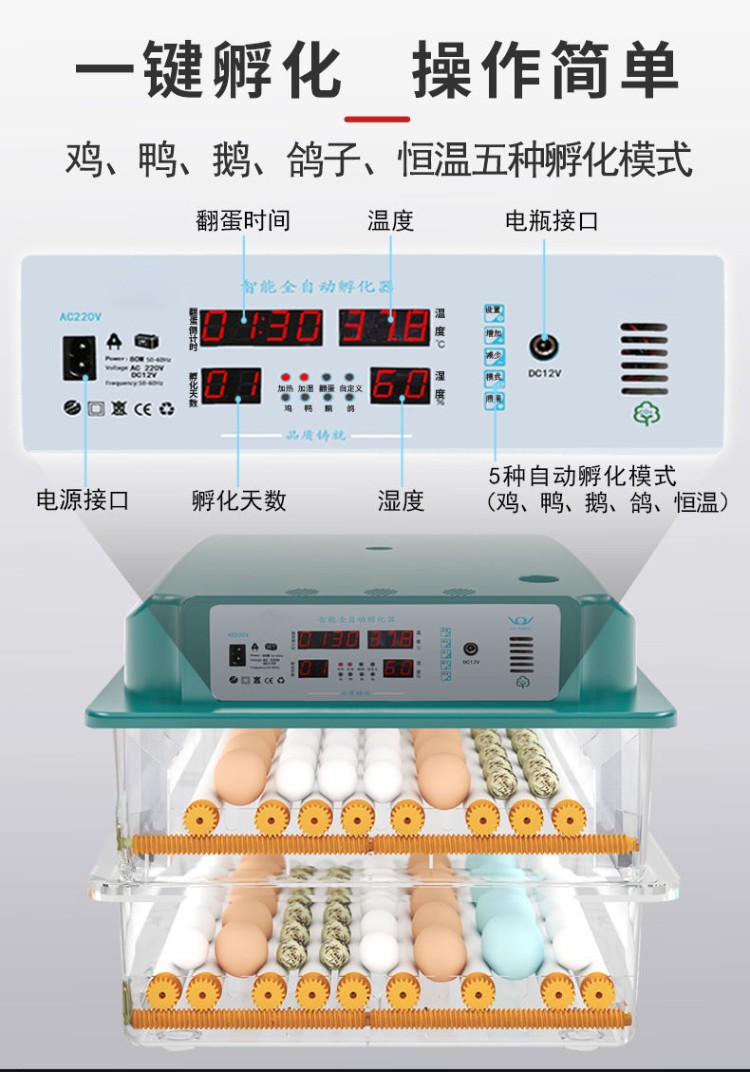 孵蛋器家用小型全自动孵化器鸡蛋孵化机宝宝儿童作业观察迷你鸟蛋小