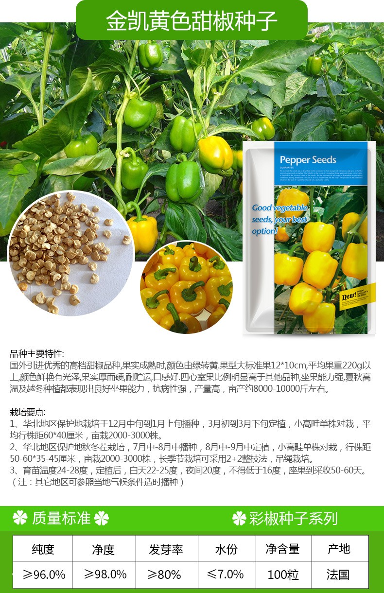 凤鸣雅世 彩椒种子甜椒菜椒青椒辣椒种籽方形灯笼椒四季阳台盆栽籽种