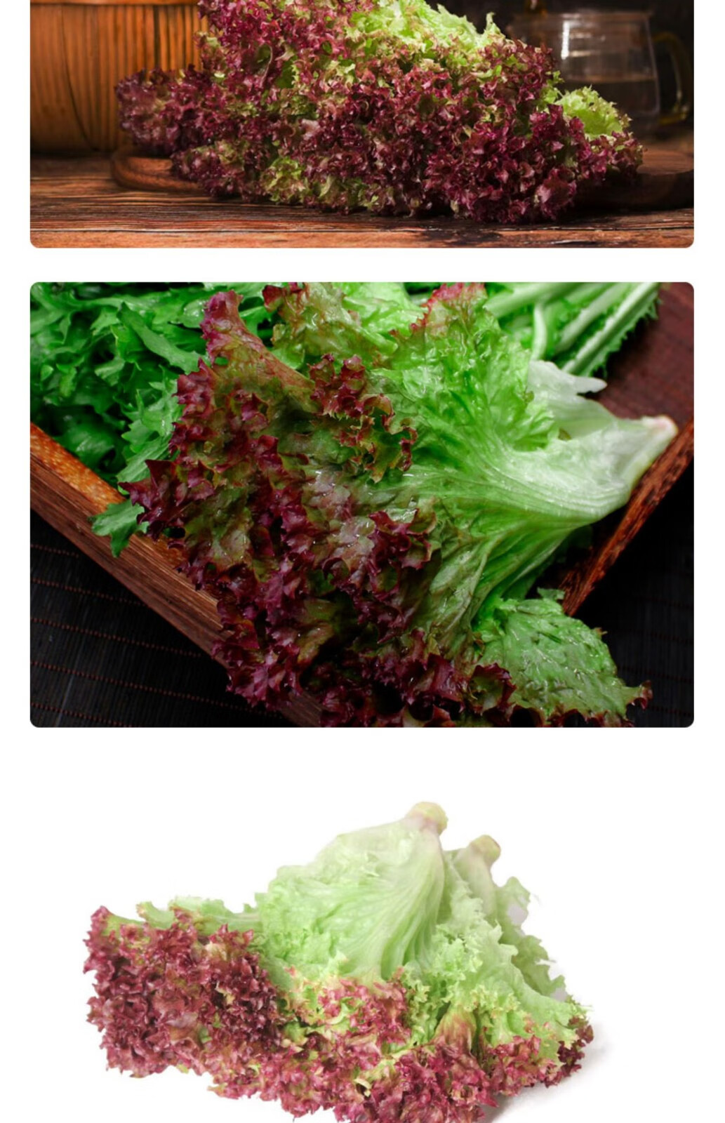 新鲜红叶生菜罗莎红紫叶生菜新鲜蔬菜沙拉食材2斤