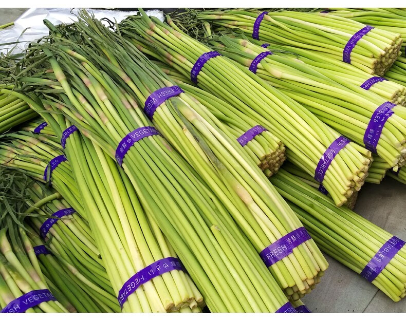 雷池古韵 山东新鲜 蒜苔 当季蔬菜农家自种蒜薹蒜毫青蒜苗 3斤普通装